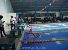 Competencia de natación agosto 2014