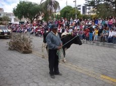 Acarreo Chamiza