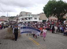 Acarreo Chamiza