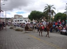 Acarreo Chamiza