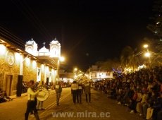 Remedos en Mira