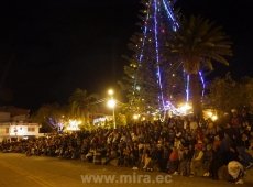 Remedos en Mira