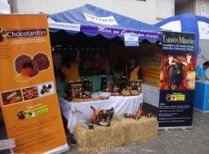 Tardón y choco tardón