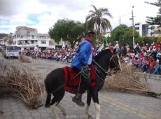 Acarreo Chamiza