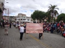 Acarreo Chamiza