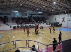 Mira Vrs. Coyotes