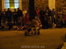 Remedos en Mira