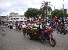 Acarreo Chamiza