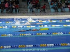 Competencia de natación agosto 2014