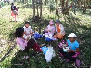 Paseos educativos