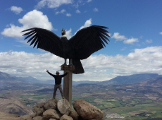 Daniel Reyes autor de la obra