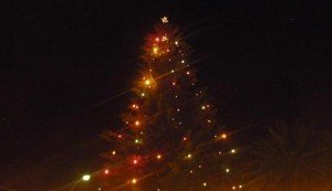 Jóvenes mireños adornan el árbol de navidad de Mira
