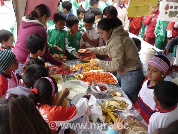 Feria de nutrición «Por una alimentación saludable»