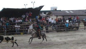 Rodeo chacarrero en las fiestas en honor a la Stma. Virgen de la Caridad