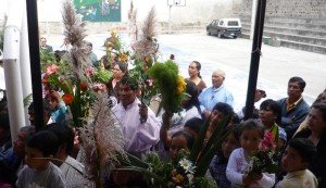 PROCESIÓN DEL DOMINGO DE RAMOS