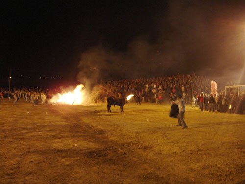 Novillo de Bombas de las fiestas de cantonización- Agosto 2006