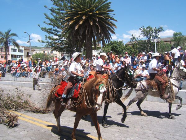 Acarreo De Chamiza y Achupallas