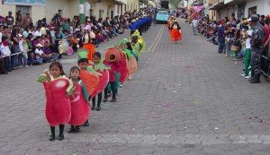 Desfile de la confraternidad en honor a la Stma. Virgen de la Caridad, fiestas de Mira 2009