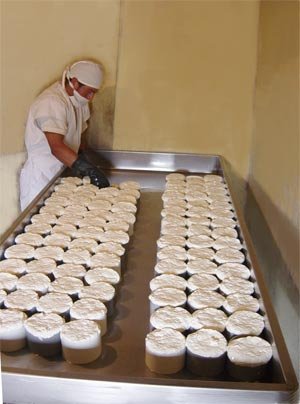 Fábrica de quesos en Mira