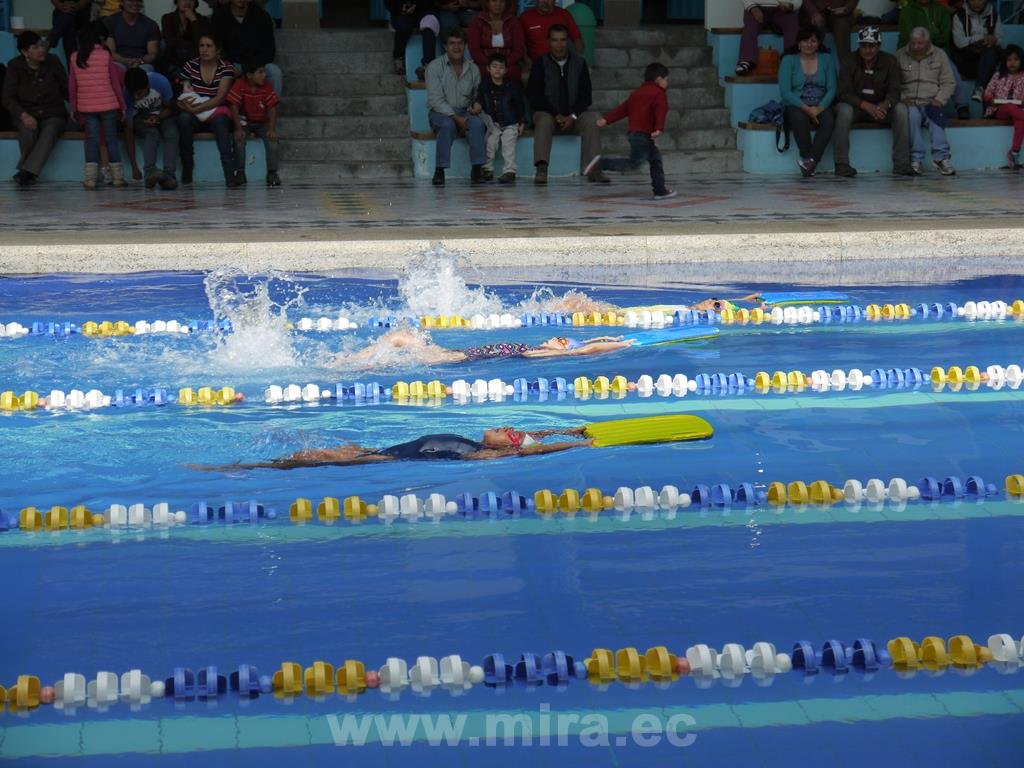 Competencia de natación agosto 2014