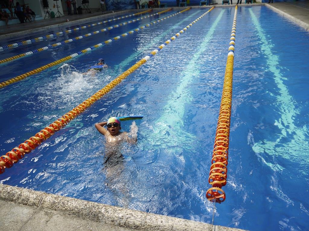 Competencia de natación agosto 2014