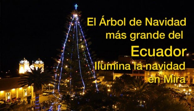 El Árbol de Navidad más grande del Ecuador ilumina la navidad en Mira