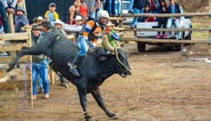 ESPECTACULAR RODEO AL ESTILO AMERICANO EN LAS FIESTAS DE CANTONIZACIÓN